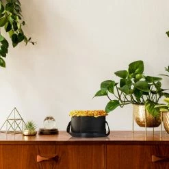 Relaxdays Bouquet Rose Eterne, Box A Cuore, Mazzo Di 18 Fiori Finti, Elegante Idea Regalo, Scatola Romantica, Nero Oro -COSTWAY shop 55486693 3